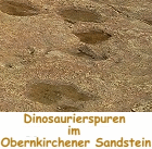 Dinosaurierspuren